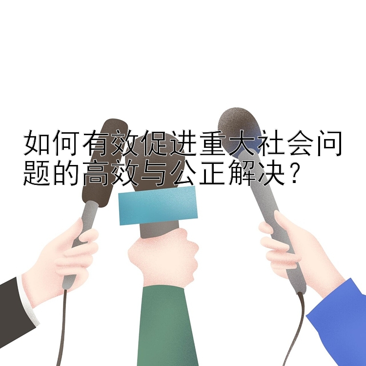 如何有效促进重大社会问题的高效与公正解决？