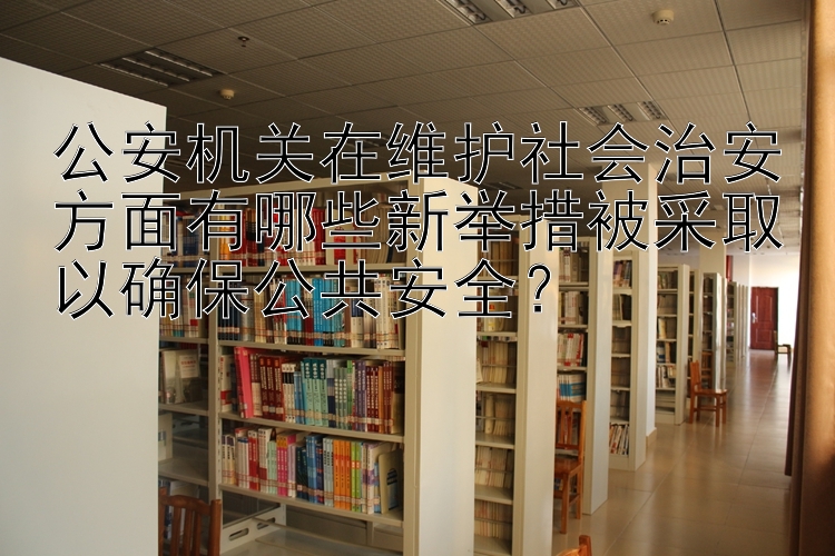 公安机关在维护社会治安方面有哪些新举措被采取以确保公共安全？