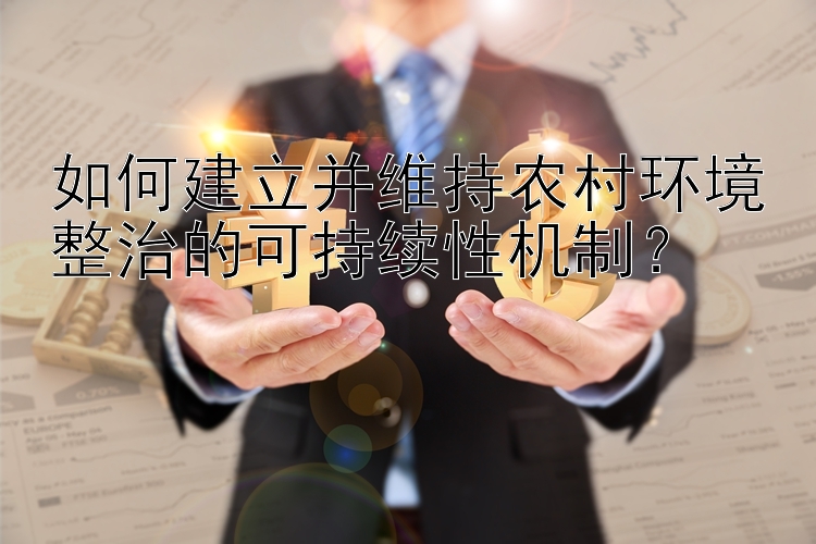 如何建立并维持农村环境整治的可持续性机制？