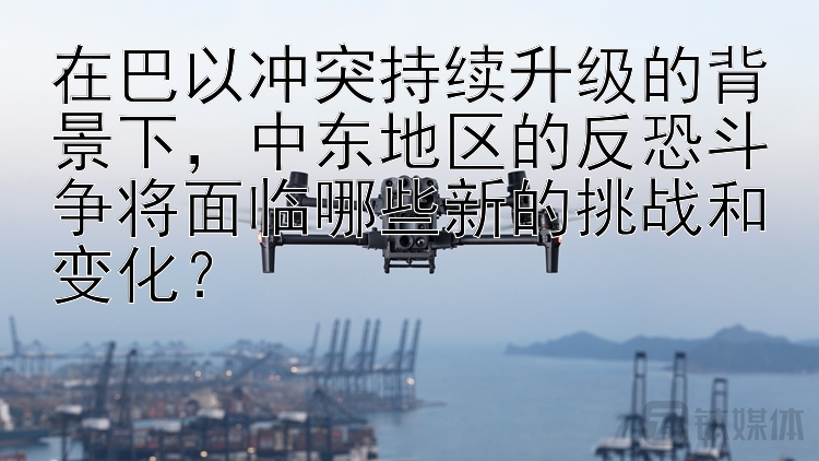 在巴以冲突持续升级的背景下，中东地区的反恐斗争将面临哪些新的挑战和变化？